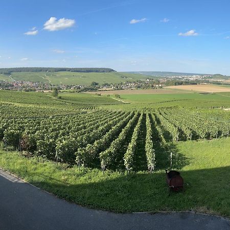 Au Coeur Du Terroir Champenois Villa Chavot-Courcourt Luaran gambar