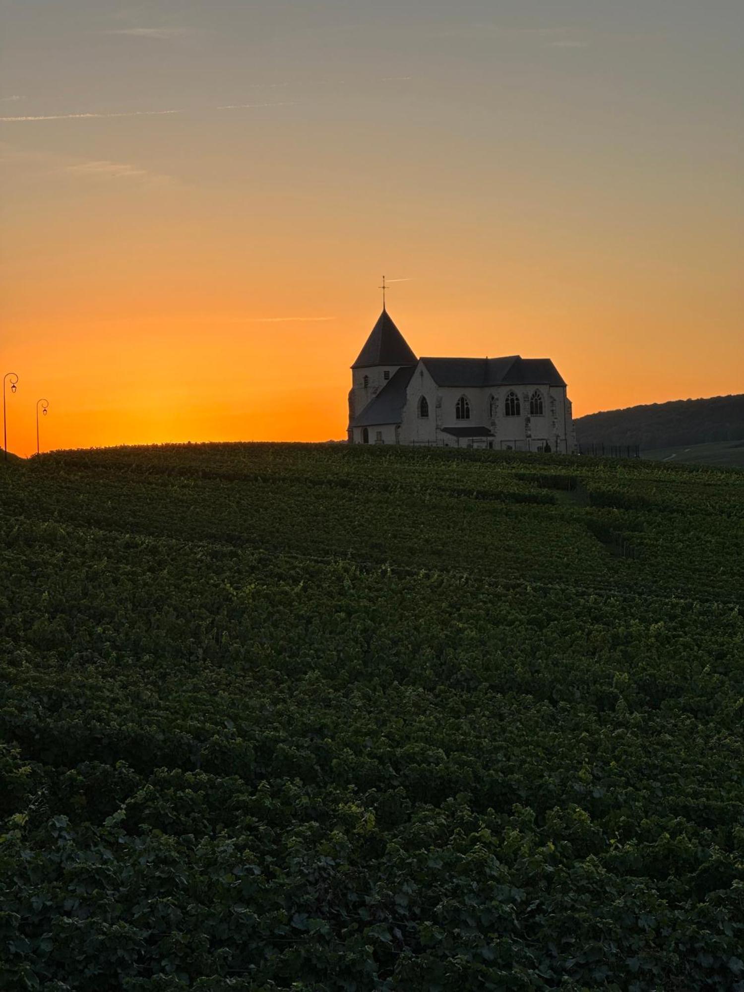 Au Coeur Du Terroir Champenois Villa Chavot-Courcourt Luaran gambar